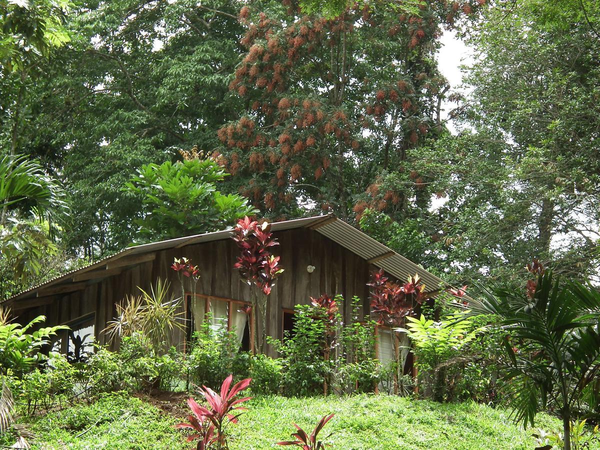 Hotel Valle Azul San Gerardo Zimmer foto