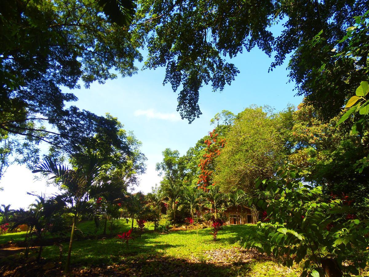 Hotel Valle Azul San Gerardo Zimmer foto